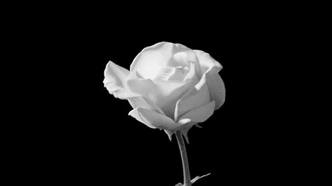 Forever for you